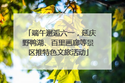 端午邂逅六一，延庆野鸭湖、百里画廊等景区推特色文旅活动