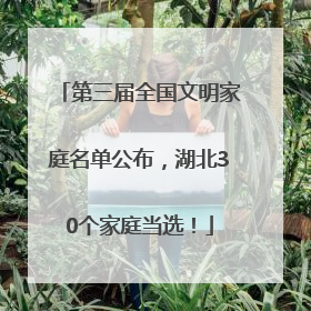 第三届全国文明家庭名单公布，湖北30个家庭当选！