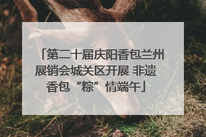 第二十届庆阳香包兰州展销会城关区开展 非遗香包“粽”情端午