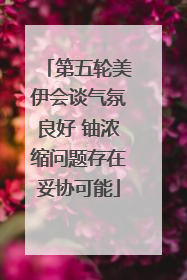 第五轮美伊会谈气氛良好 铀浓缩问题存在妥协可能
