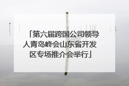 第六届跨国公司领导人青岛峰会山东省开发区专场推介会举行