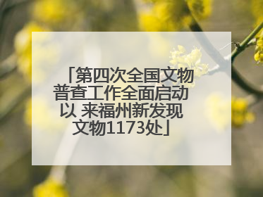 第四次全国文物普查工作全面启动以 来福州新发现文物1173处