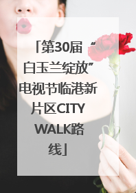 第30届“白玉兰绽放”电视节临港新片区CITY WALK路线