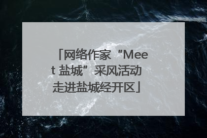 网络作家“Meet 盐城”采风活动走进盐城经开区