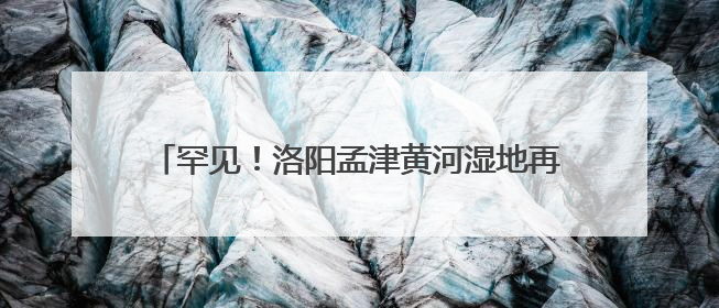 罕见！洛阳孟津黄河湿地再次迎来“东方宝石”彩鹮