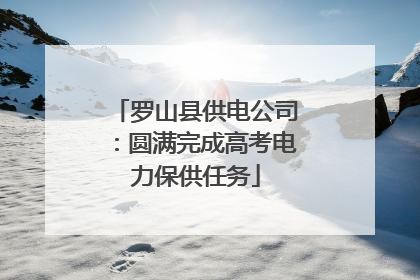 罗山县供电公司：圆满完成高考电力保供任务