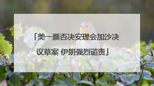 美一票否决安理会加沙决议草案 伊朗强烈谴责