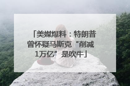 美媒爆料：特朗普曾怀疑马斯克“削减1万亿”是吹牛