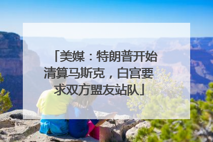 美媒：特朗普开始清算马斯克，白宫要求双方盟友站队