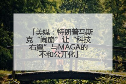 美媒：特朗普马斯克“闹崩”让“科技右翼”与MAGA的不和公开化