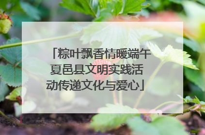粽叶飘香情暖端午 夏邑县文明实践活动传递文化与爱心