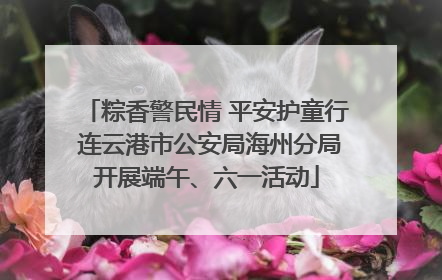粽香警民情 平安护童行 连云港市公安局海州分局开展端午、六一活动
