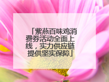 紫燕百味鸡消费券活动全面上线，实力供应链提供坚实保障