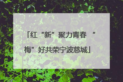 红“新”聚力青春 “梅”好共荣宁波慈城