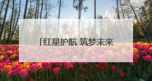 红星护航 筑梦未来——平湖街道2025高考护航行动收官