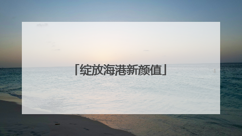 绽放海港新颜值