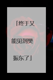 终于又能见到樊振东了