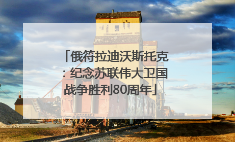 俄符拉迪沃斯托克：纪念苏联伟大卫国战争胜利80周年