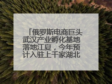 俄罗斯电商巨头武汉产业孵化基地落地江夏，今年预计入驻上千家湖北跨境卖家