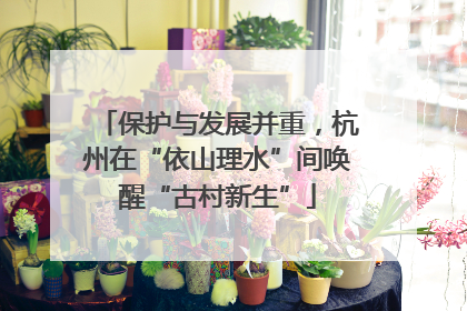 保护与发展并重，杭州在“依山理水”间唤醒“古村新生”