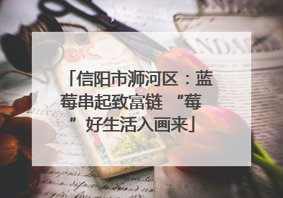 信阳市浉河区：蓝莓串起致富链 “莓”好生活入画来