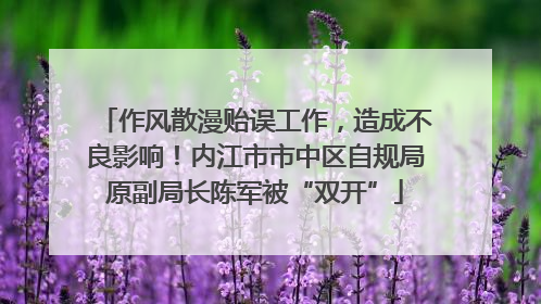 作风散漫贻误工作，造成不良影响！内江市市中区自规局原副局长陈军被“双开”