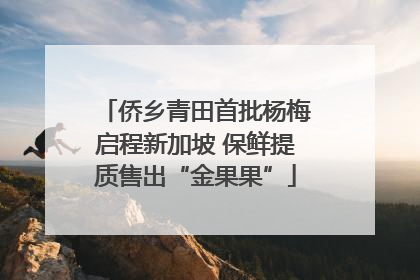侨乡青田首批杨梅启程新加坡 保鲜提质售出“金果果”