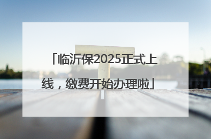 临沂保2025正式上线，缴费开始办理啦