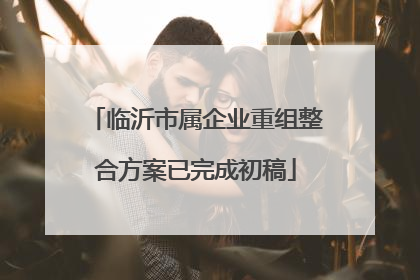 临沂市属企业重组整合方案已完成初稿