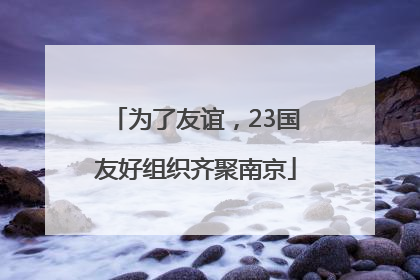 为了友谊，23国友好组织齐聚南京