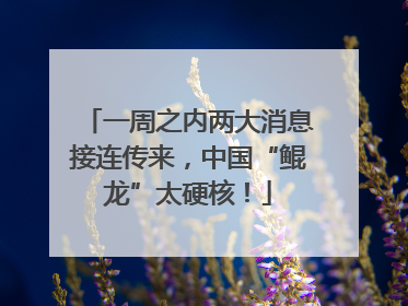 一周之内两大消息接连传来，中国“鲲龙”太硬核！