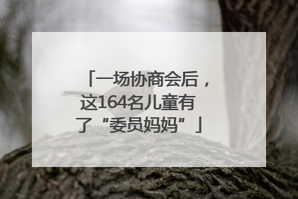 一场协商会后，这164名儿童有了“委员妈妈”