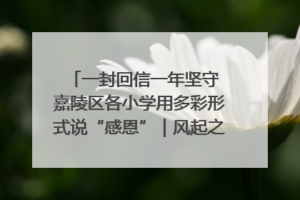 一封回信一年坚守 嘉陵区各小学用多彩形式说“感恩”｜风起之江 扶摇直上