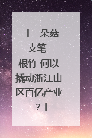一朵菇 一支笔 一根竹 何以撬动浙江山区百亿产业？