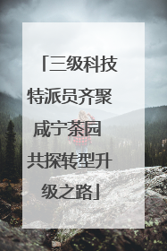 三级科技特派员齐聚咸宁茶园 共探转型升级之路