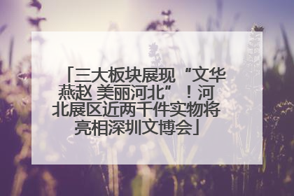 三大板块展现“文华燕赵 美丽河北”！河北展区近两千件实物将亮相深圳文博会