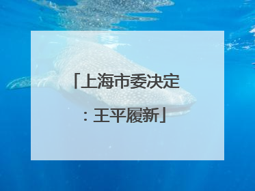 上海市委决定：王平履新