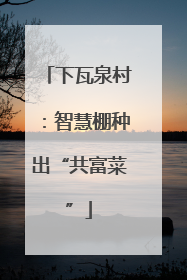 下瓦泉村：智慧棚种出“共富菜”