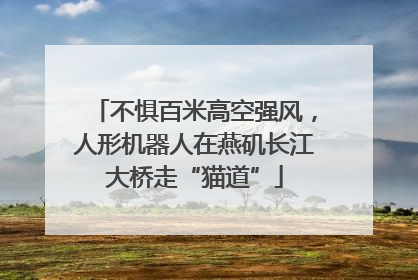 不惧百米高空强风，人形机器人在燕矶长江大桥走“猫道”