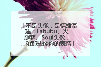 不是头像，是情绪基建：Labubu、火腿猪、Soul头像……和那些像你的表情