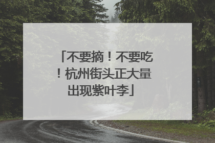 不要摘！不要吃！杭州街头正大量出现紫叶李