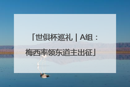 世俱杯巡礼｜A组：梅西率领东道主出征