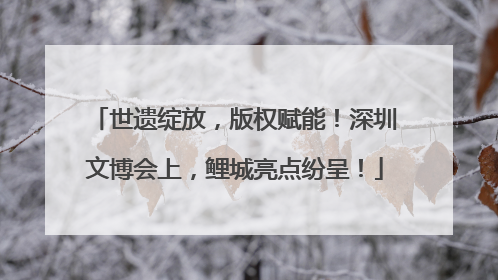 世遗绽放，版权赋能！深圳文博会上，鲤城亮点纷呈！