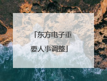 东方电子重要人事调整
