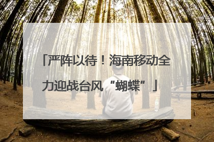 严阵以待！海南移动全力迎战台风“蝴蝶”