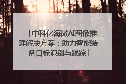 中科亿海微AI图像推理解决方案：助力智能装备目标识别与跟踪