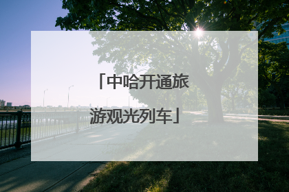 中哈开通旅游观光列车