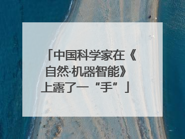 中国科学家在《自然·机器智能》上露了一“手”