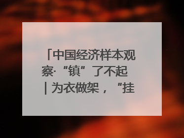 中国经济样本观察·“镇”了不起｜为衣做架，“挂”出来的80亿元“衣架产业”