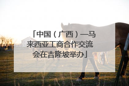 中国（广西）—马来西亚工商合作交流会在吉隆坡举办
